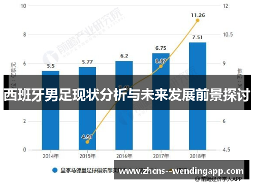 西班牙男足现状分析与未来发展前景探讨