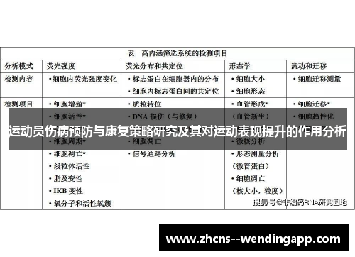 运动员伤病预防与康复策略研究及其对运动表现提升的作用分析
